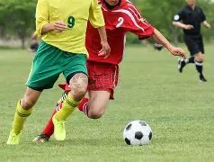 浙江东阳剧,组涉嫌虐待,猫咪,pg286娱乐平台,pg286娱乐百家乐,pg286娱乐百家乐官网,pg286娱乐电子登录入口,pg286娱乐官方网站