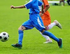 切尔西瞄准,内托,曼联转投阿,pg286娱乐平台,pg286娱乐百家乐,pg286娱乐百家乐官网,pg286娱乐电子登录入口,pg286娱乐官方网站